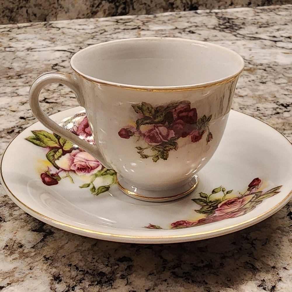 Vintage Norcrest June Rose 7/747-C Teacup with Saucer